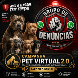 Ajuda solidária Grupo de Denúncias